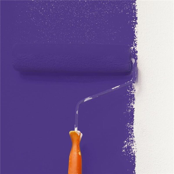 Wandfarbe Matt NCS-S-4050-R60B WALLCOVER Colors