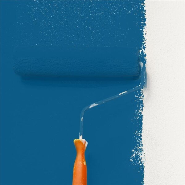 Wandfarbe Matt NCS-S-4050-R90B WALLCOVER Colors