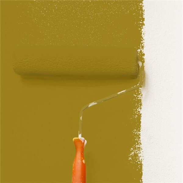 Wandfarbe Matt NCS-S-4050-Y WALLCOVER Colors