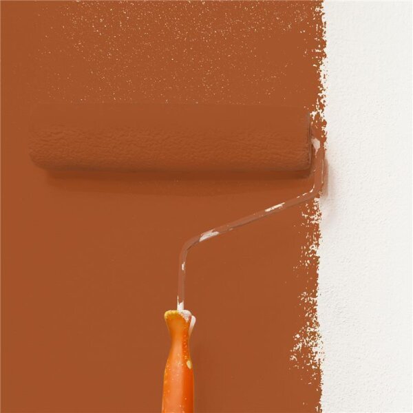 Wandfarbe Matt NCS-S-4050-Y60R WALLCOVER Colors