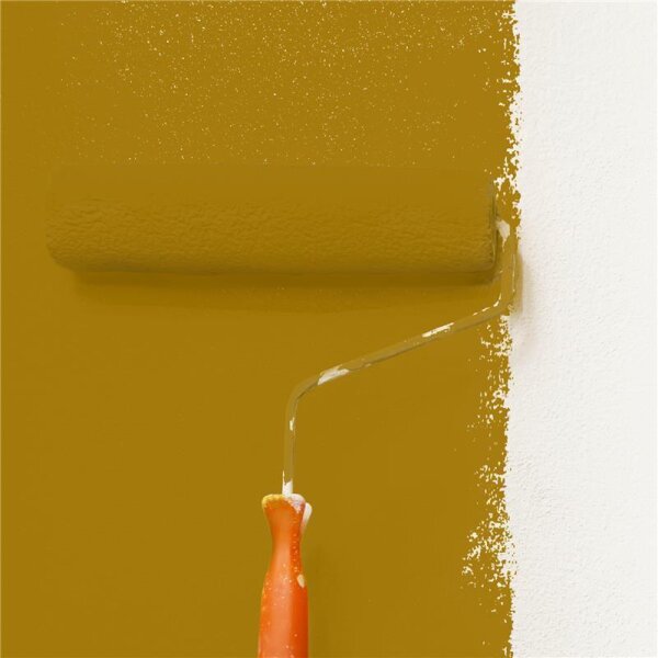 Wandfarbe Matt NCS-S-4055-Y10R WALLCOVER Colors