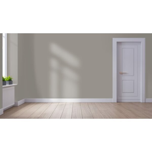 Wandfarbe Matt NCS-S-4502-Y50R WALLCOVER Colors