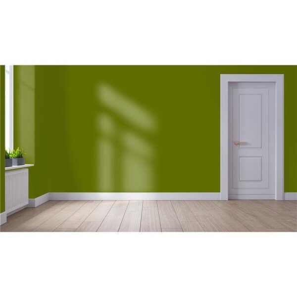 Wandfarbe Matt NCS-S-4550-G50Y WALLCOVER Colors