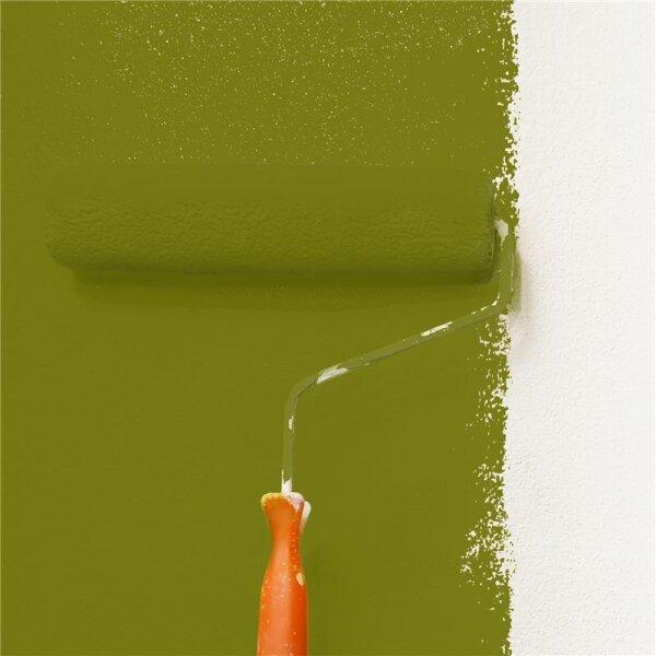 Wandfarbe Matt NCS-S-4550-G60Y WALLCOVER Colors