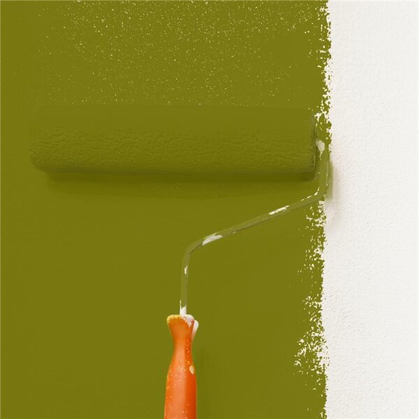 Wandfarbe Matt NCS-S-4550-G70Y WALLCOVER Colors