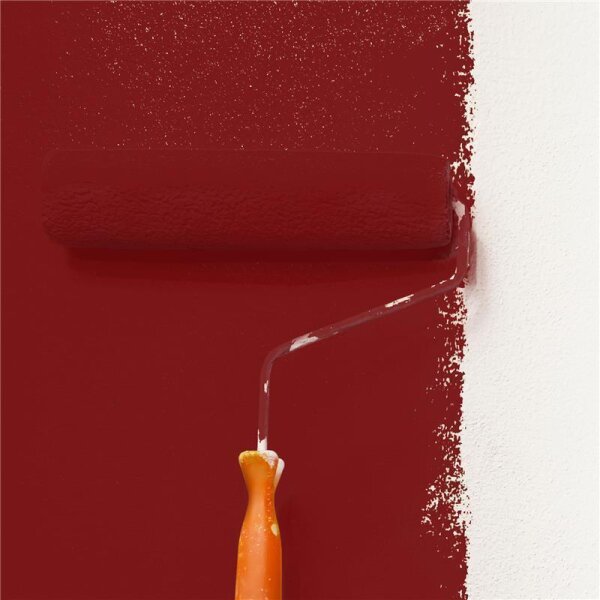 Wandfarbe Matt NCS-S-4550-Y90R WALLCOVER Colors