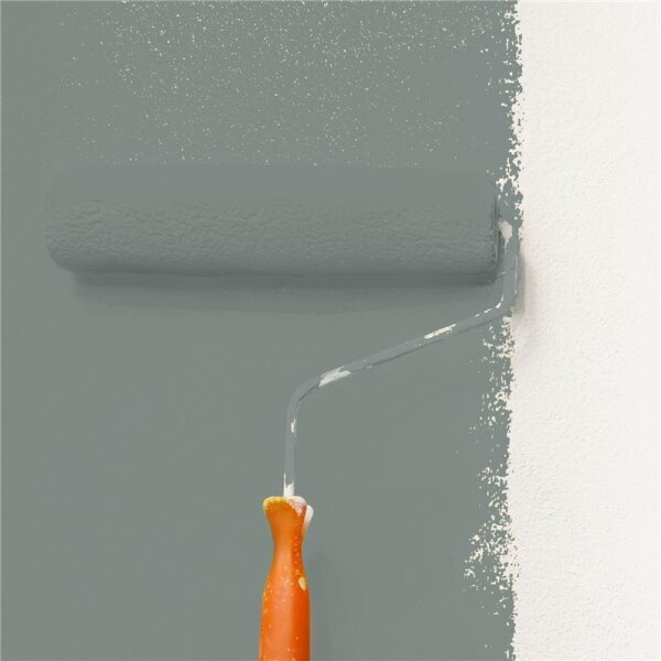 Wandfarbe Matt NCS-S-5005-G WALLCOVER Colors