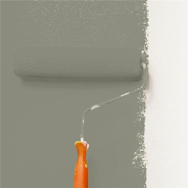 Wandfarbe Matt NCS-S-5005-G80Y WALLCOVER Colors
