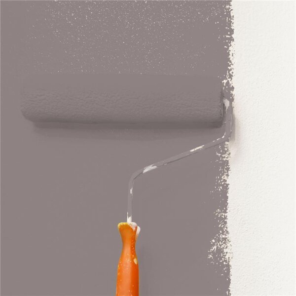 Wandfarbe Matt NCS-S-5005-R WALLCOVER Colors
