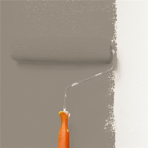 Wandfarbe Matt NCS-S-5005-Y20R WALLCOVER Colors
