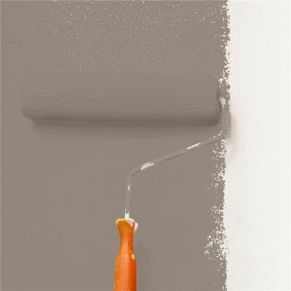 Wandfarbe Matt NCS-S-5005-Y50R WALLCOVER Colors