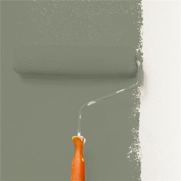 Wandfarbe Matt NCS-S-5010-G50Y WALLCOVER Colors