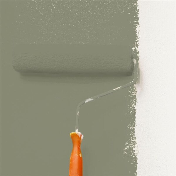 Wandfarbe Matt NCS-S-5010-G70Y WALLCOVER Colors