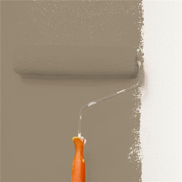 Wandfarbe Matt NCS-S-5010-Y10R WALLCOVER Colors