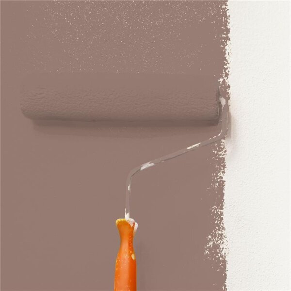 Wandfarbe Matt NCS-S-5010-Y70R WALLCOVER Colors