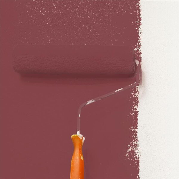 Wandfarbe Matt NCS-S-5030-R WALLCOVER Colors