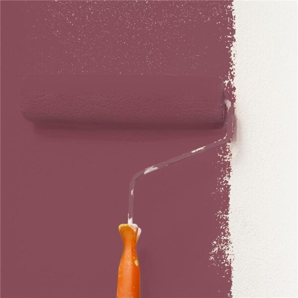 Wandfarbe Matt NCS-S-5030-R10B WALLCOVER Colors