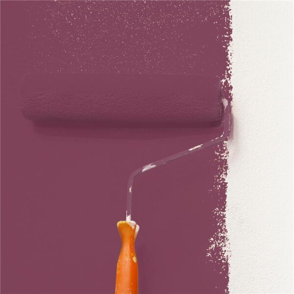 Wandfarbe Matt NCS-S-5030-R20B WALLCOVER Colors