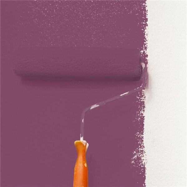 Wandfarbe Matt NCS-S-5030-R30B WALLCOVER Colors