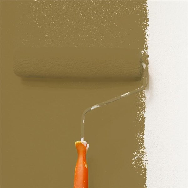 Wandfarbe Matt NCS-S-5030-Y WALLCOVER Colors