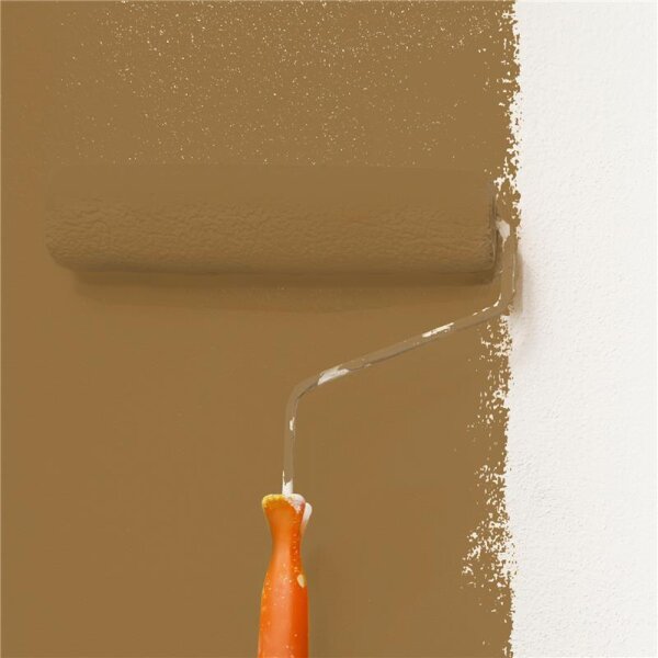 Wandfarbe Matt NCS-S-5030-Y20R WALLCOVER Colors