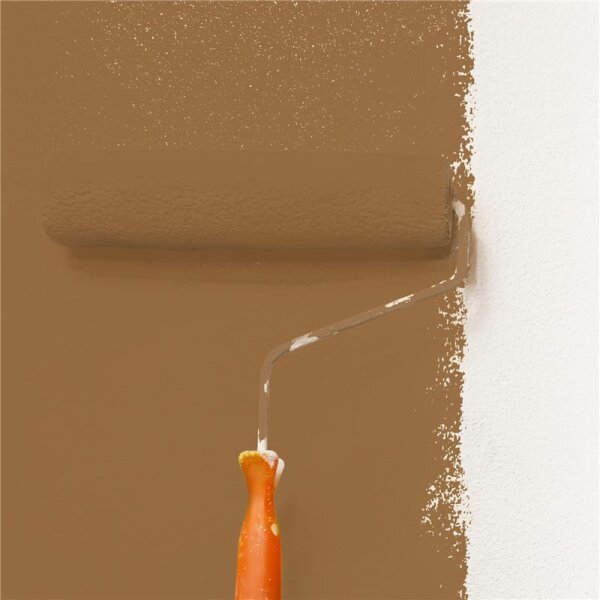 Wandfarbe Matt NCS-S-5030-Y30R WALLCOVER Colors