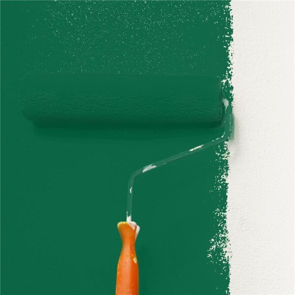 Wandfarbe Matt NCS-S-5040-G WALLCOVER Colors
