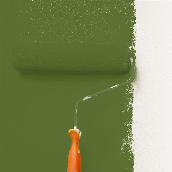 Wandfarbe Matt NCS-S-5040-G40Y WALLCOVER Colors