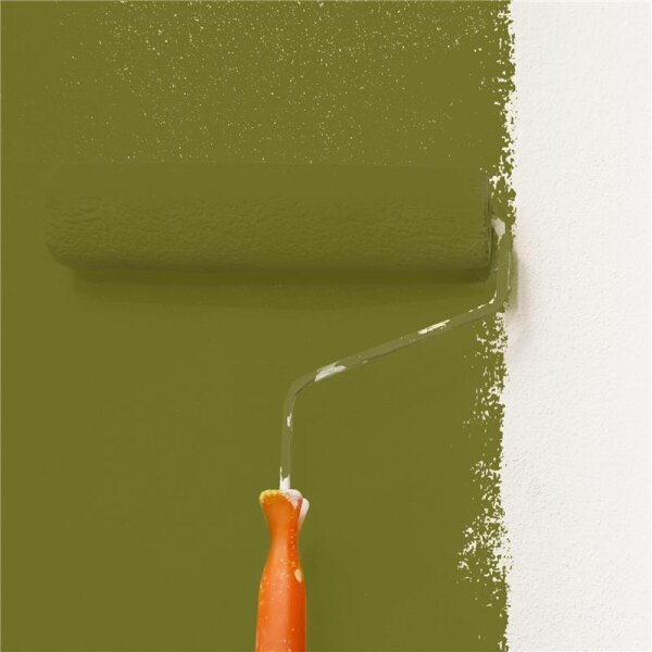 Wandfarbe Matt NCS-S-5040-G70Y WALLCOVER Colors