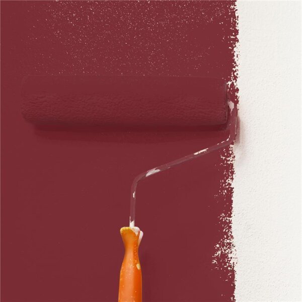 Wandfarbe Matt NCS-S-5040-R WALLCOVER Colors