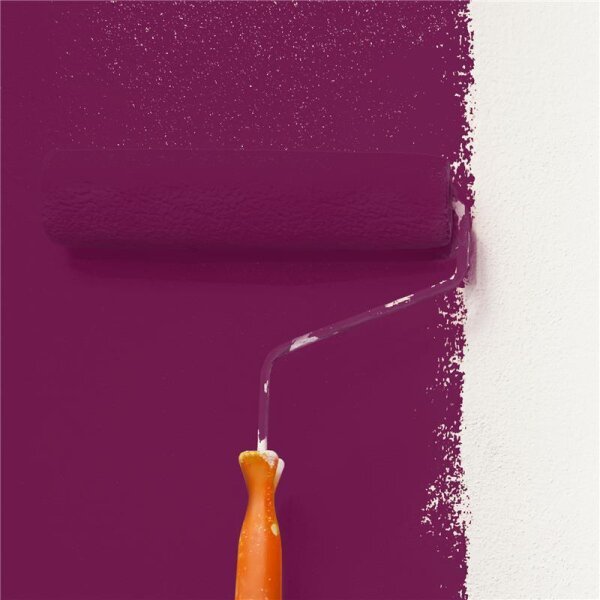 Wandfarbe Matt NCS-S-5040-R30B WALLCOVER Colors