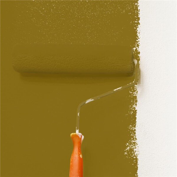 Wandfarbe Matt NCS-S-5040-Y WALLCOVER Colors