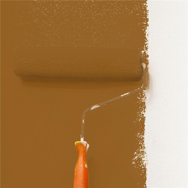 Wandfarbe Matt NCS-S-5040-Y30R WALLCOVER Colors