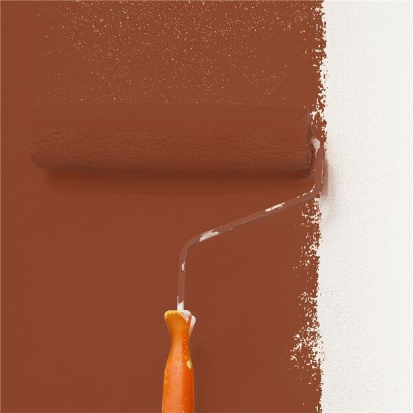 Wandfarbe Matt NCS-S-5040-Y70R WALLCOVER Colors