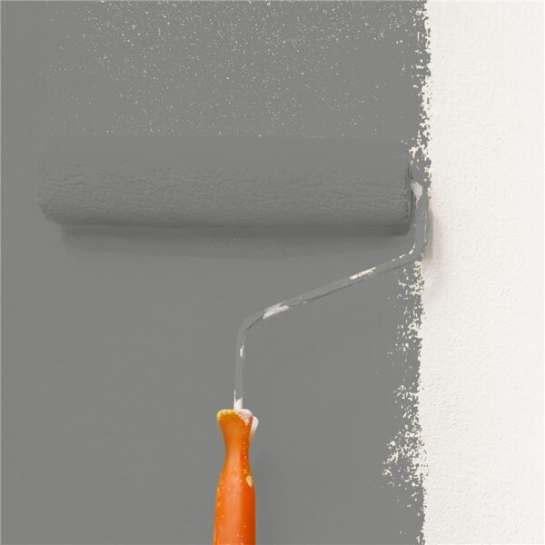 Wandfarbe Matt NCS-S-5500-N WALLCOVER Colors