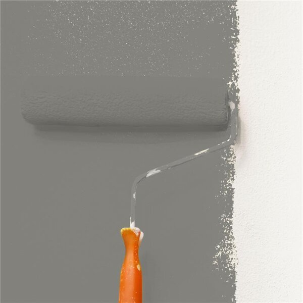 Wandfarbe Matt NCS-S-5502-Y WALLCOVER Colors