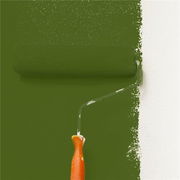 Wandfarbe Matt NCS-S-5540-G40Y WALLCOVER Colors
