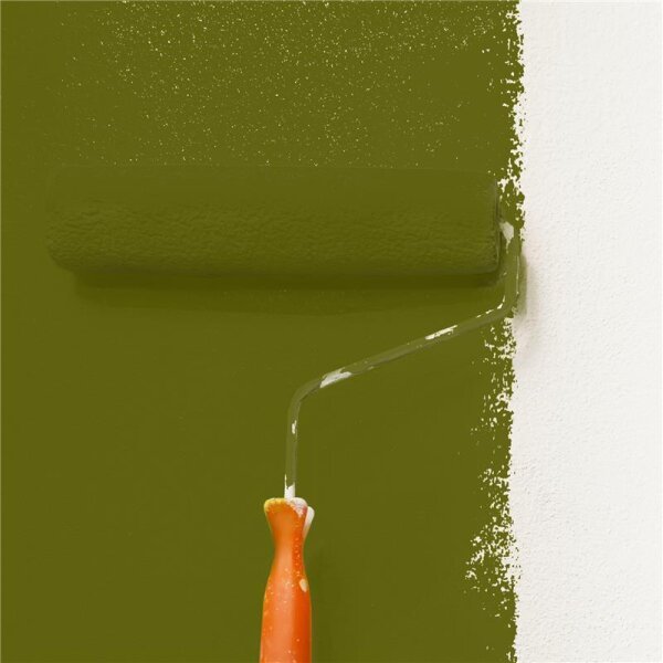 Wandfarbe Matt NCS-S-5540-G60Y WALLCOVER Colors