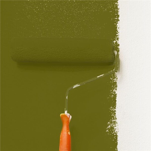 Wandfarbe Matt NCS-S-5540-G70Y WALLCOVER Colors