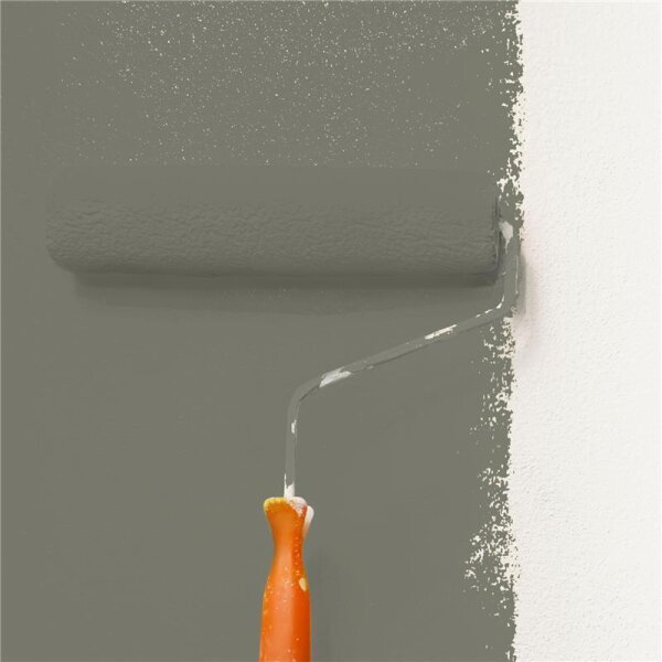 Wandfarbe Matt NCS-S-6005-G80Y WALLCOVER Colors