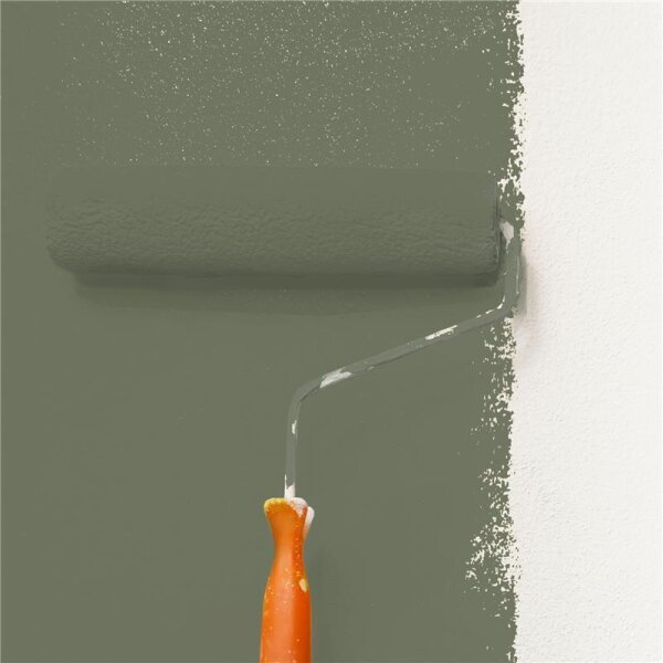 Wandfarbe Matt NCS-S-6010-G50Y WALLCOVER Colors