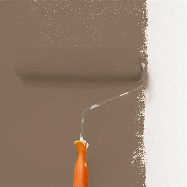 Wandfarbe Matt NCS-S-6010-Y30R WALLCOVER Colors