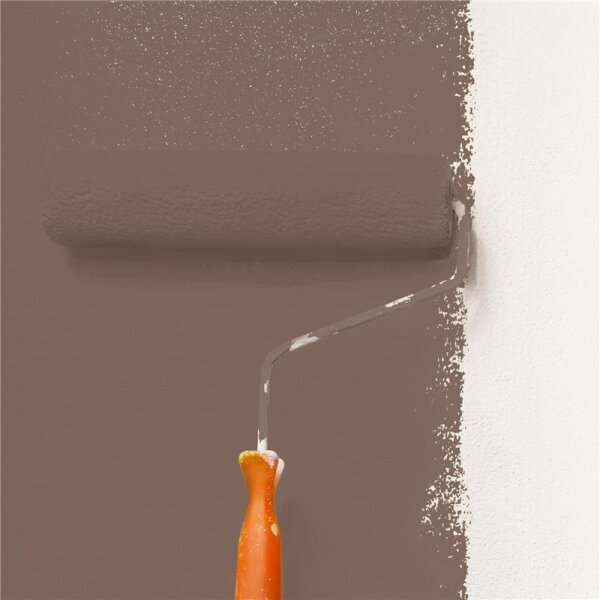 Wandfarbe Matt NCS-S-6010-Y70R WALLCOVER Colors
