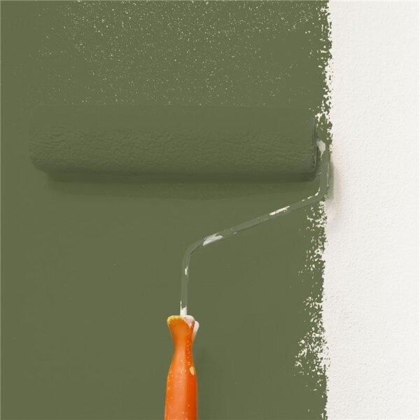 Wandfarbe Matt NCS-S-6020-G50Y WALLCOVER Colors