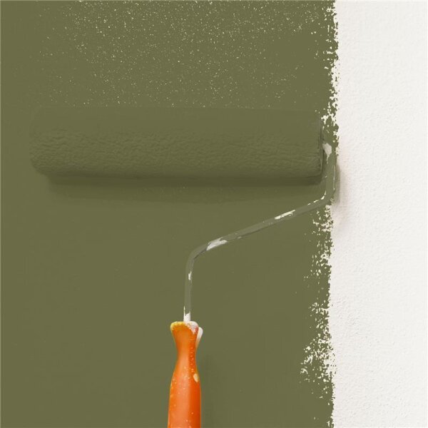 Wandfarbe Matt NCS-S-6020-G70Y WALLCOVER Colors