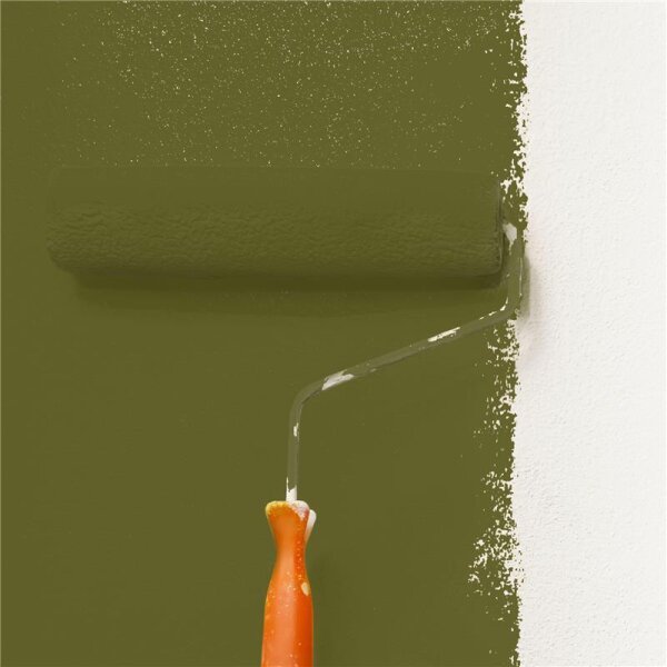 Wandfarbe Matt NCS-S-6030-G70Y WALLCOVER Colors