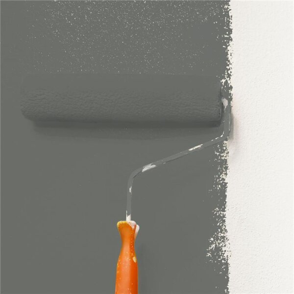 Wandfarbe Matt NCS-S-6502-G50Y WALLCOVER Colors