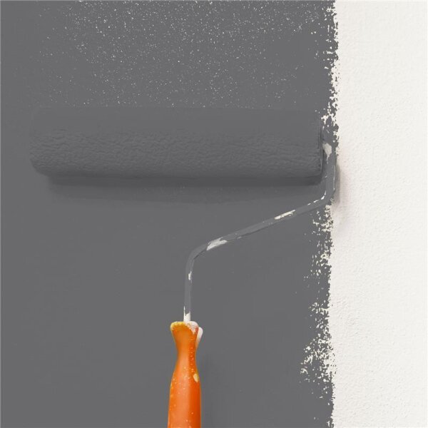 Wandfarbe Matt NCS-S-6502-R50B WALLCOVER Colors