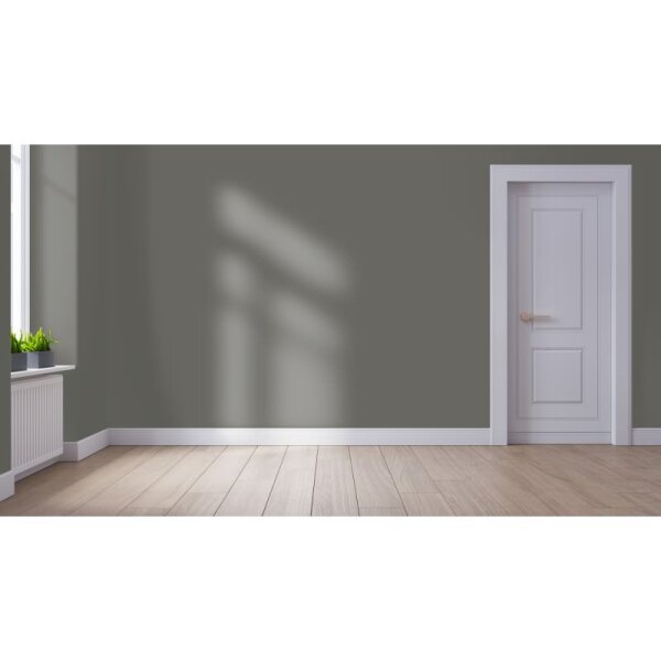 Wandfarbe Matt NCS-S-6502-Y WALLCOVER Colors