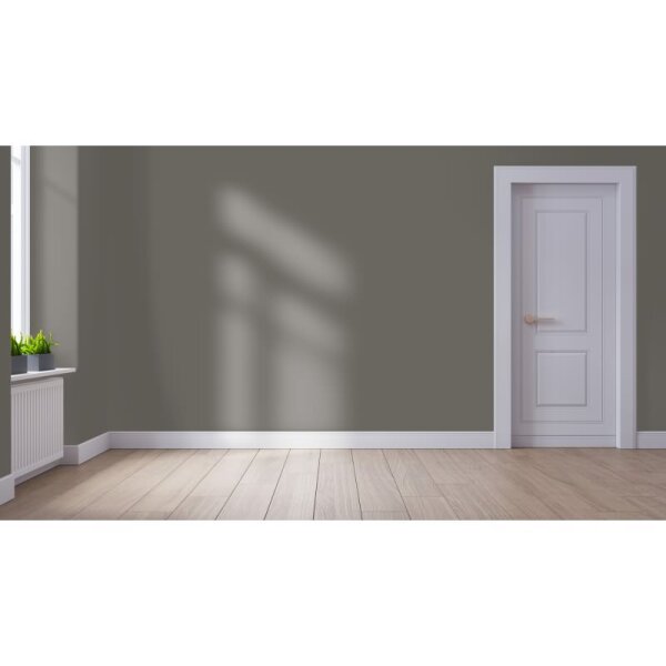 Wandfarbe Matt NCS-S-6502-Y20R WALLCOVER Colors